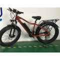 26 inch e bike electric bike 750W electric fat tire bicycle mountain ebike